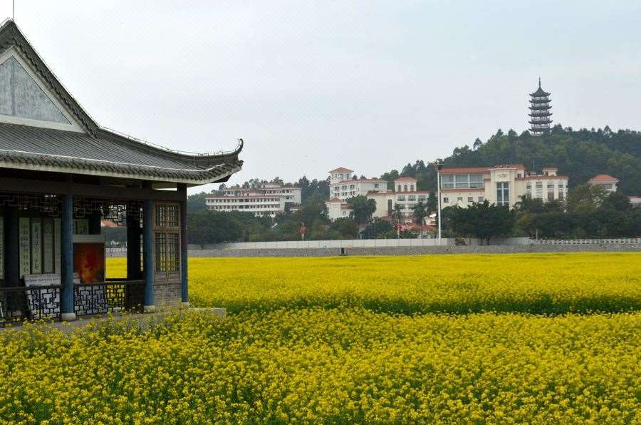 Dongguan Goodview Hotel Sangem Qiaotou Commodités photo